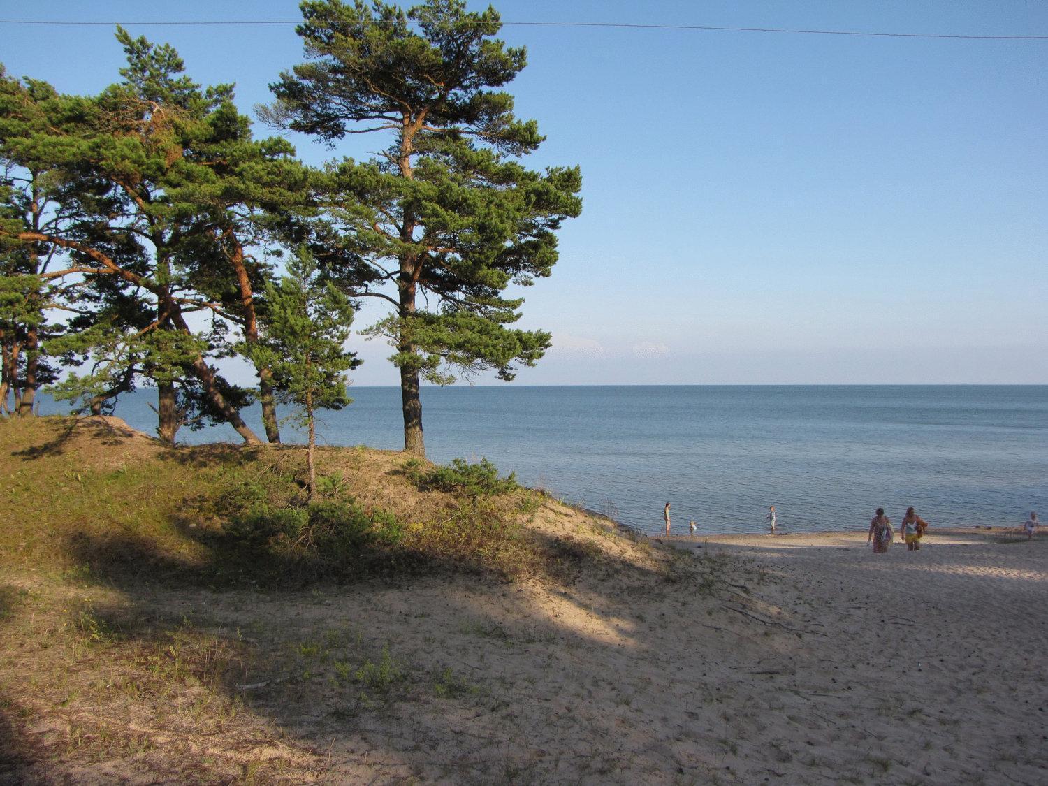 Mandjala Puhketalu - Cottages Dış mekan fotoğraf