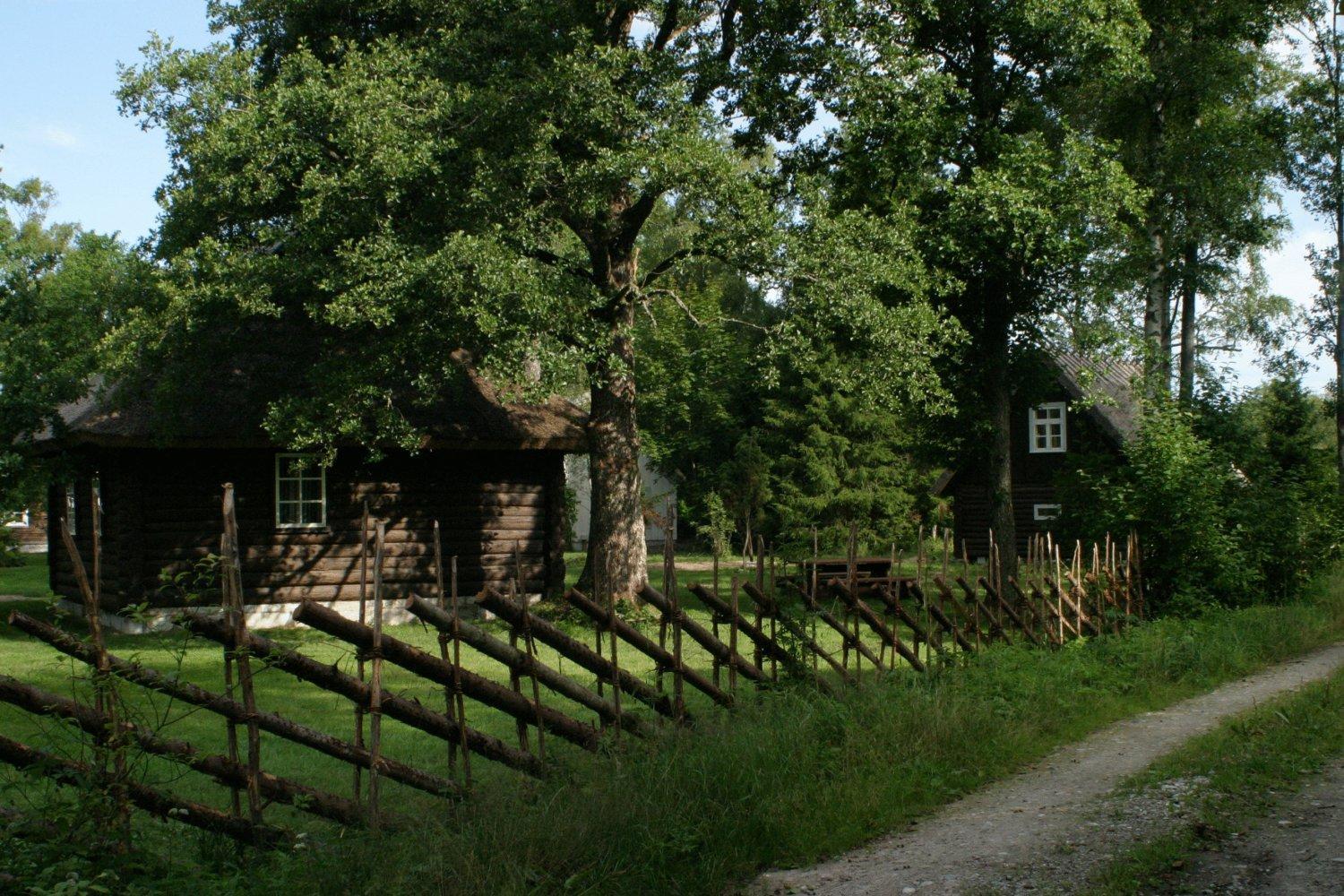 Mandjala Puhketalu - Cottages Dış mekan fotoğraf